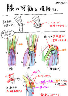 理解膝盖的活动插画图片壁纸