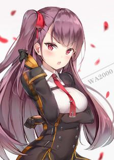 WA2000插画图片壁纸