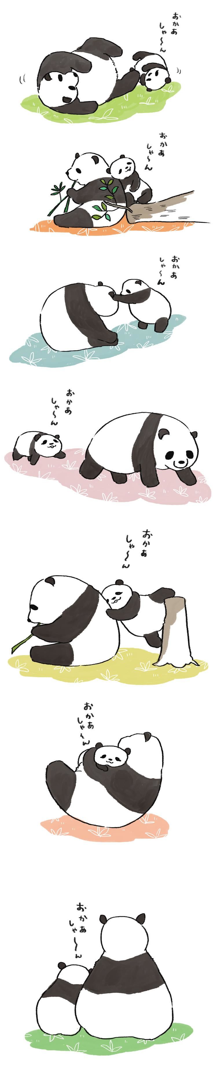 熊猫妈妈