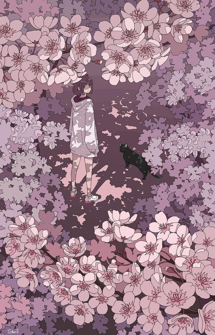 夜桜插画图片壁纸