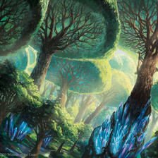 Ikoria Forest from Magic: tG插画图片壁纸