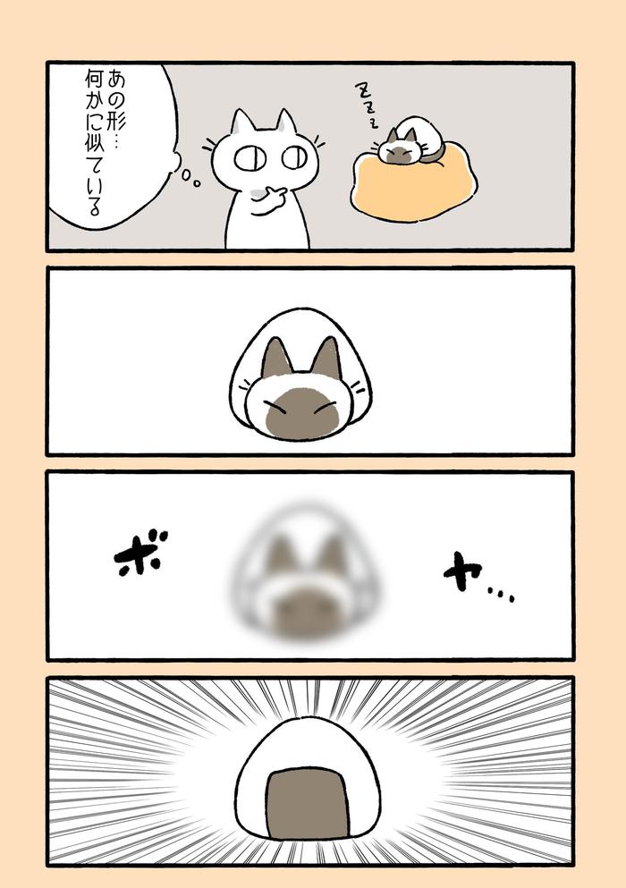 猫日记总结插画图片壁纸