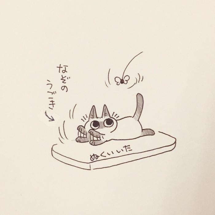 猫日记总结插画图片壁纸