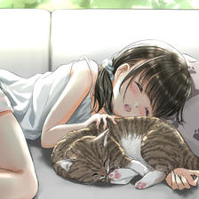 你和猫的日常--午睡插画图片壁纸