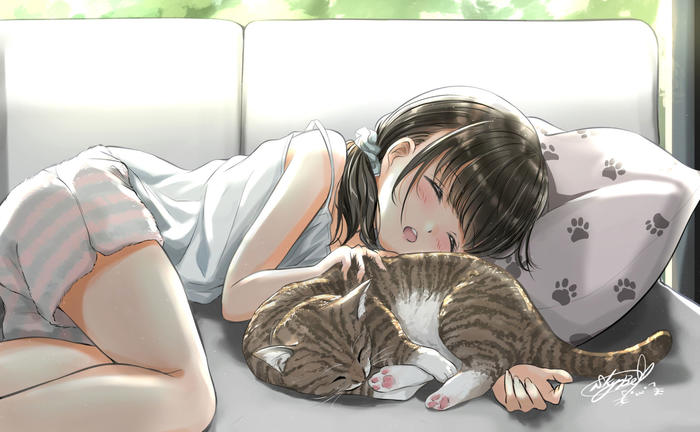 你和猫的日常--午睡插画图片壁纸