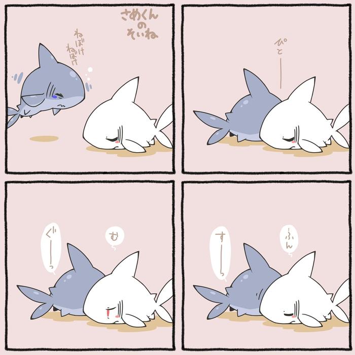 小鲨鱼的小家伙（睡眼惺忪）插画图片壁纸