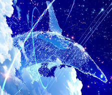 鲸座流星群夜-插图背景