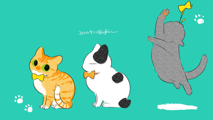 猫的画册插画图片壁纸