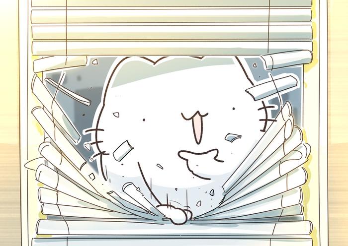 看百叶窗太笨拙的猫插画图片壁纸