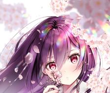 桜-樱花树kasumi