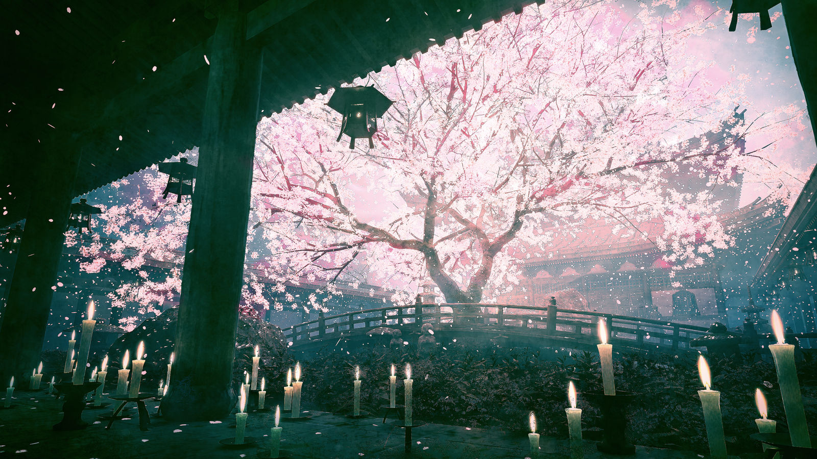 桜回廊・夜