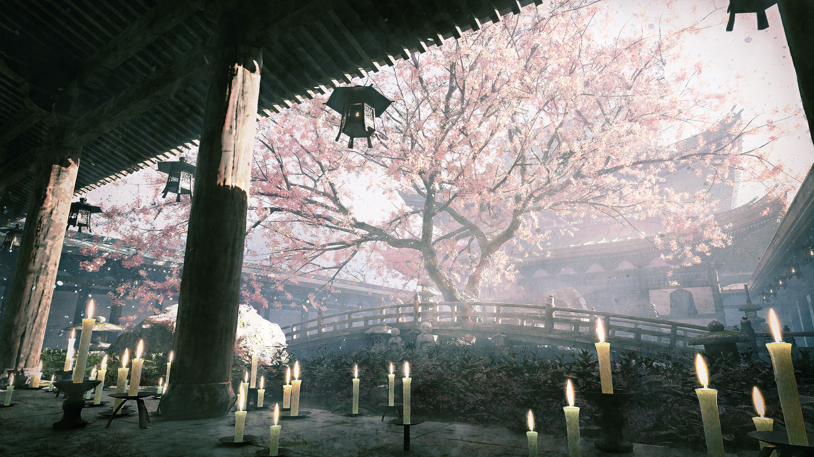 桜回廊・昼-樱花树和风