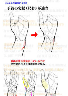 个人笔记：手腕的突起（尺骨）插画图片壁纸