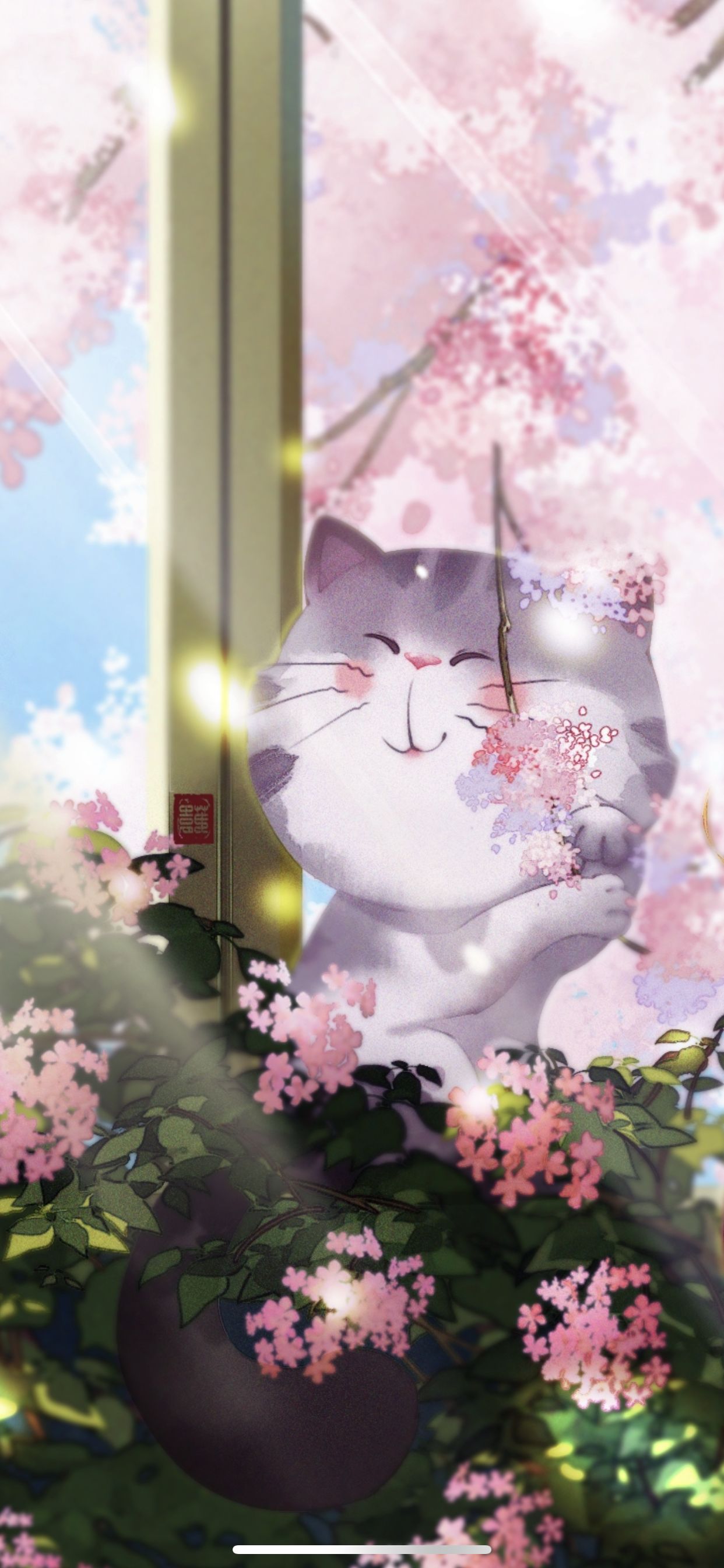 樱花大脸猫插画图片壁纸