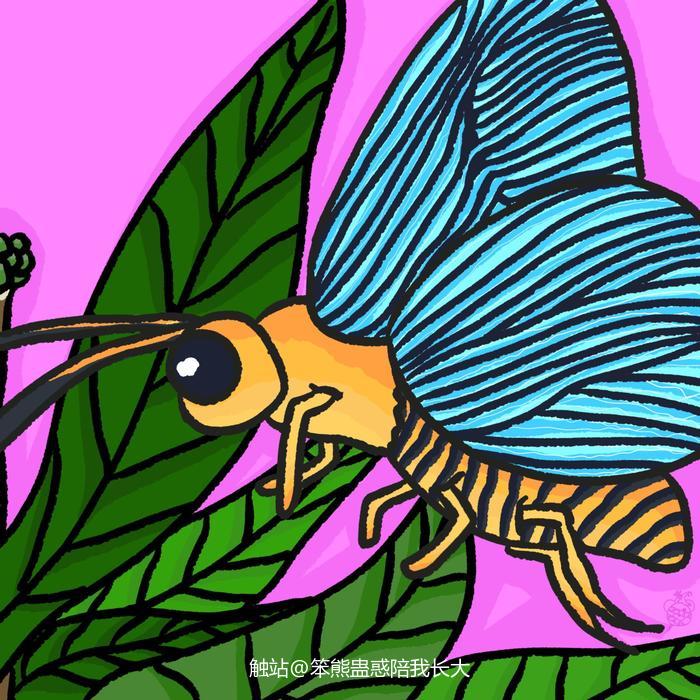 《大伞弄蝶》插画图片壁纸