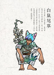 植物精怪系列之——白鼠尾草插画图片壁纸