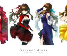 servant dress-命运/新章岸波白野
