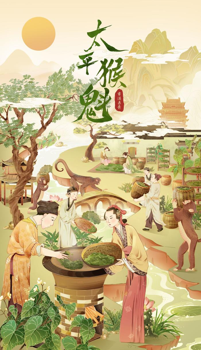 茶叶包装国潮插画-太平猴魁插画图片壁纸
