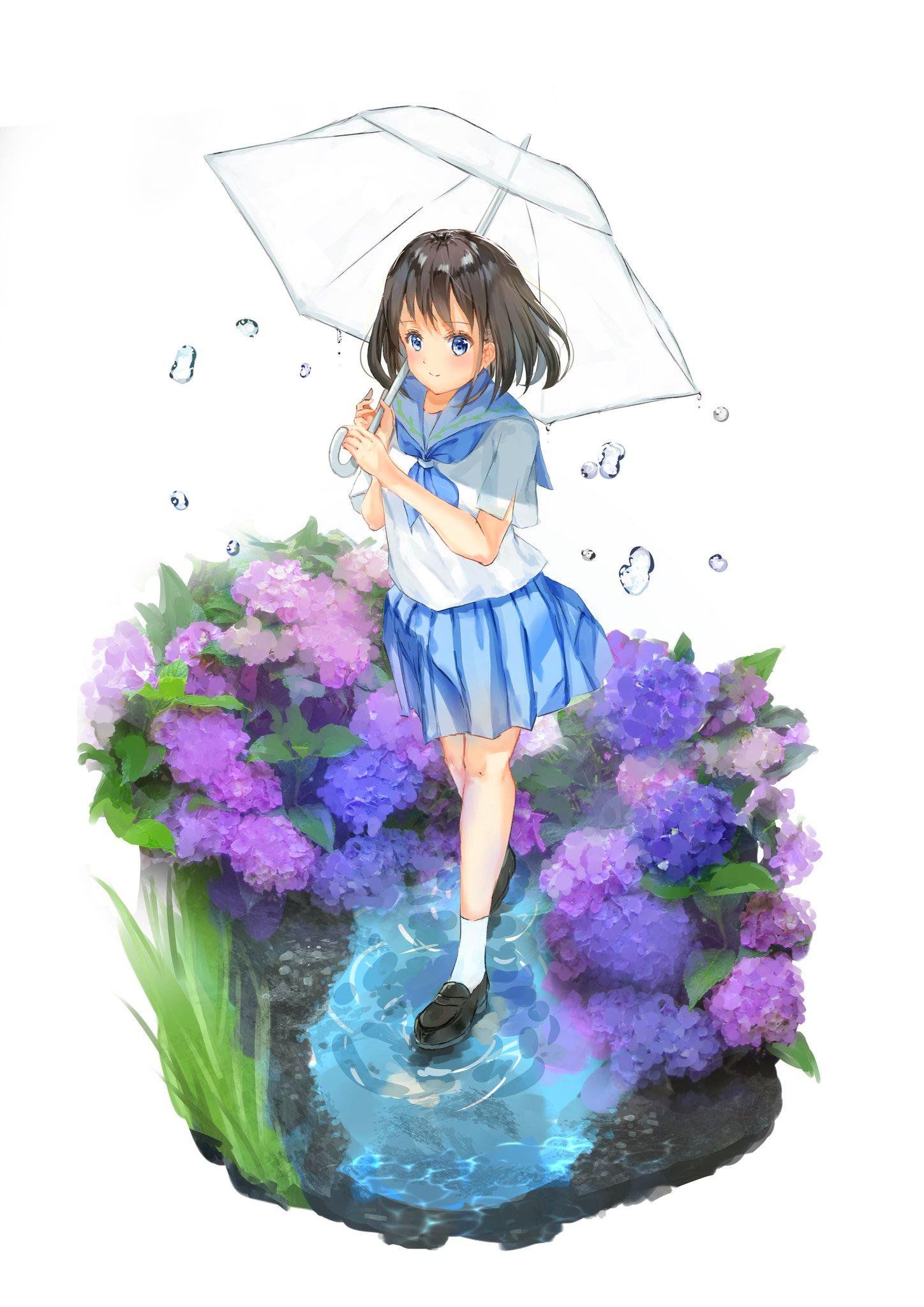 雨后的紫阳花插画图片壁纸