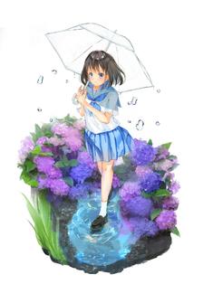 雨后的紫阳花插画图片壁纸
