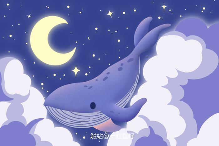 壁纸「鲸鱼漫游」插画图片壁纸