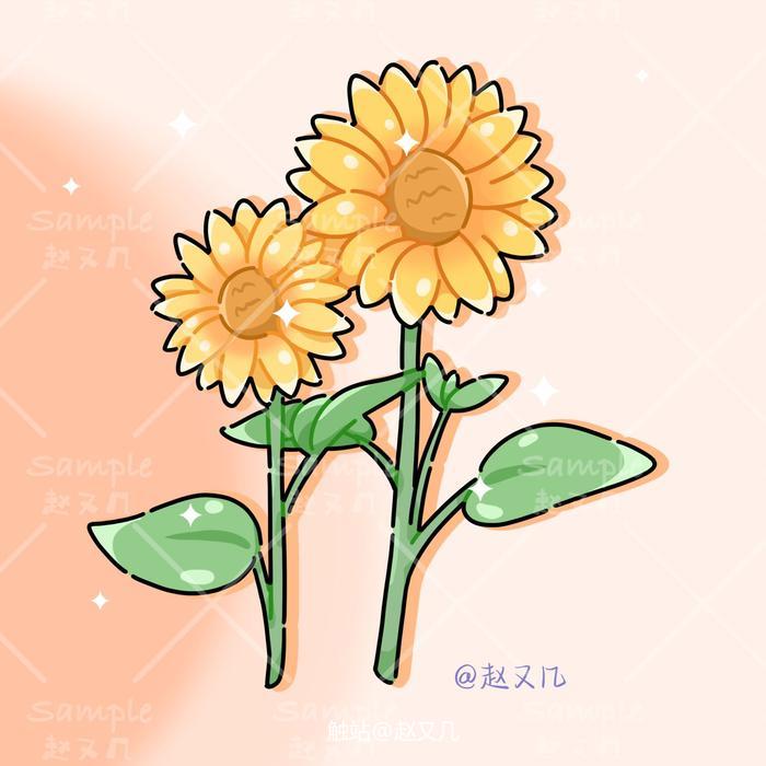 盛开的向日葵插画图片壁纸