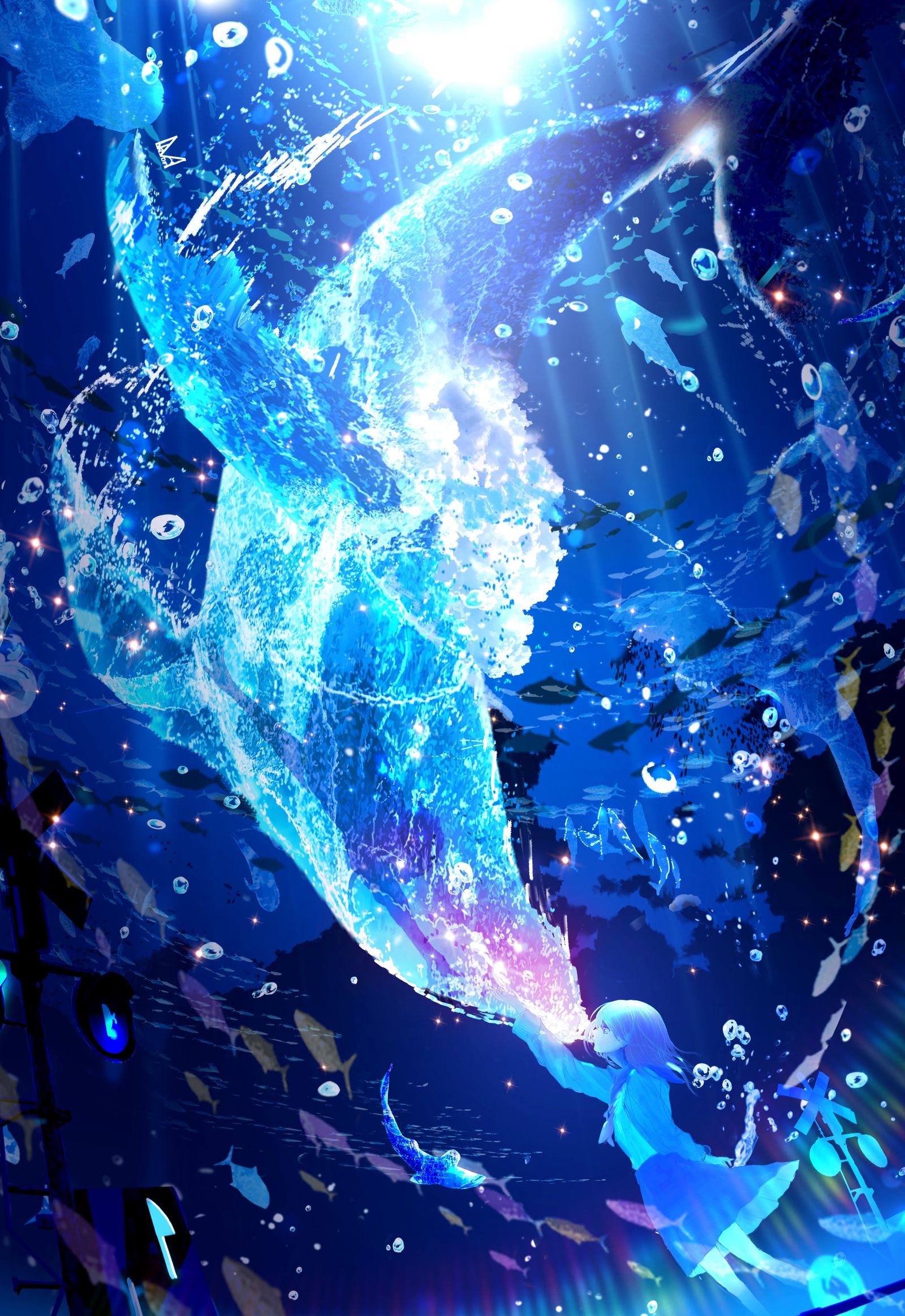 水族馆之夜“和你再一次”插画图片壁纸