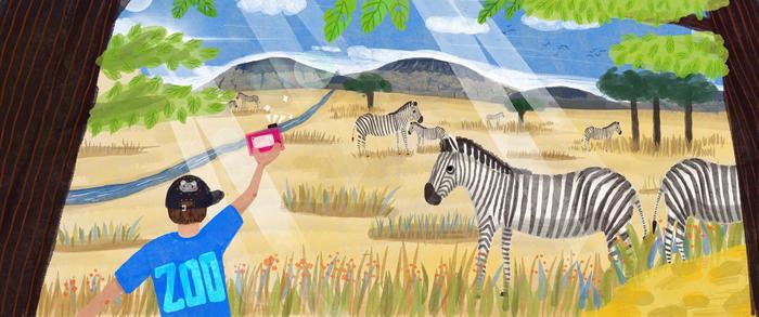 非洲大草原-咔嚓 斑马家族插画图片壁纸