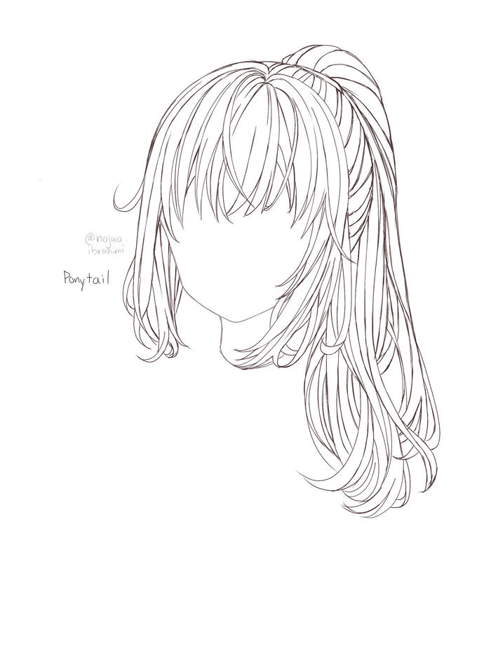 Anime Hair References插画图片壁纸