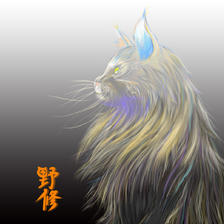 猫插画图片壁纸