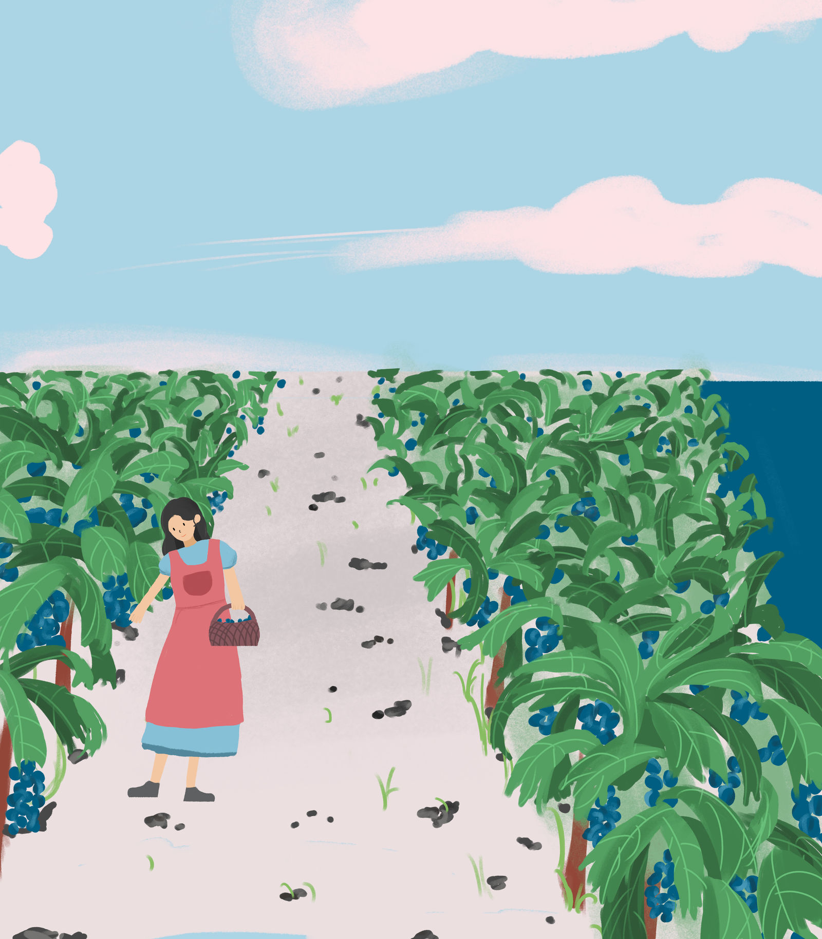 田园蓝莓插画图片壁纸