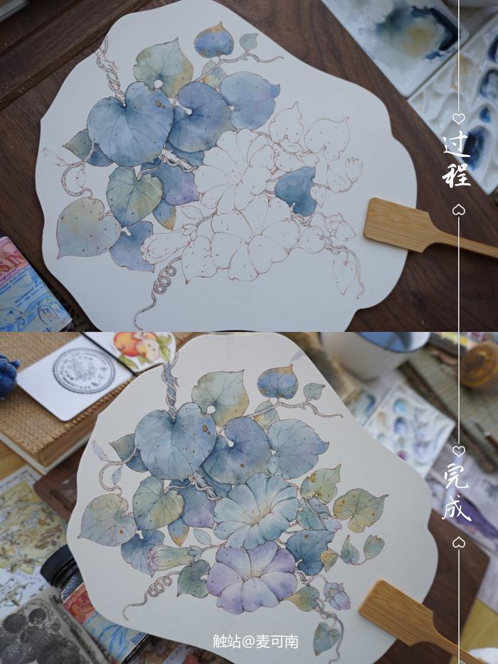 钢笔淡彩、水彩团扇原创牵牛花作品！插画图片壁纸