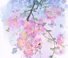 紫薇花-水彩水彩 花卉