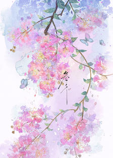 紫薇花插画图片壁纸