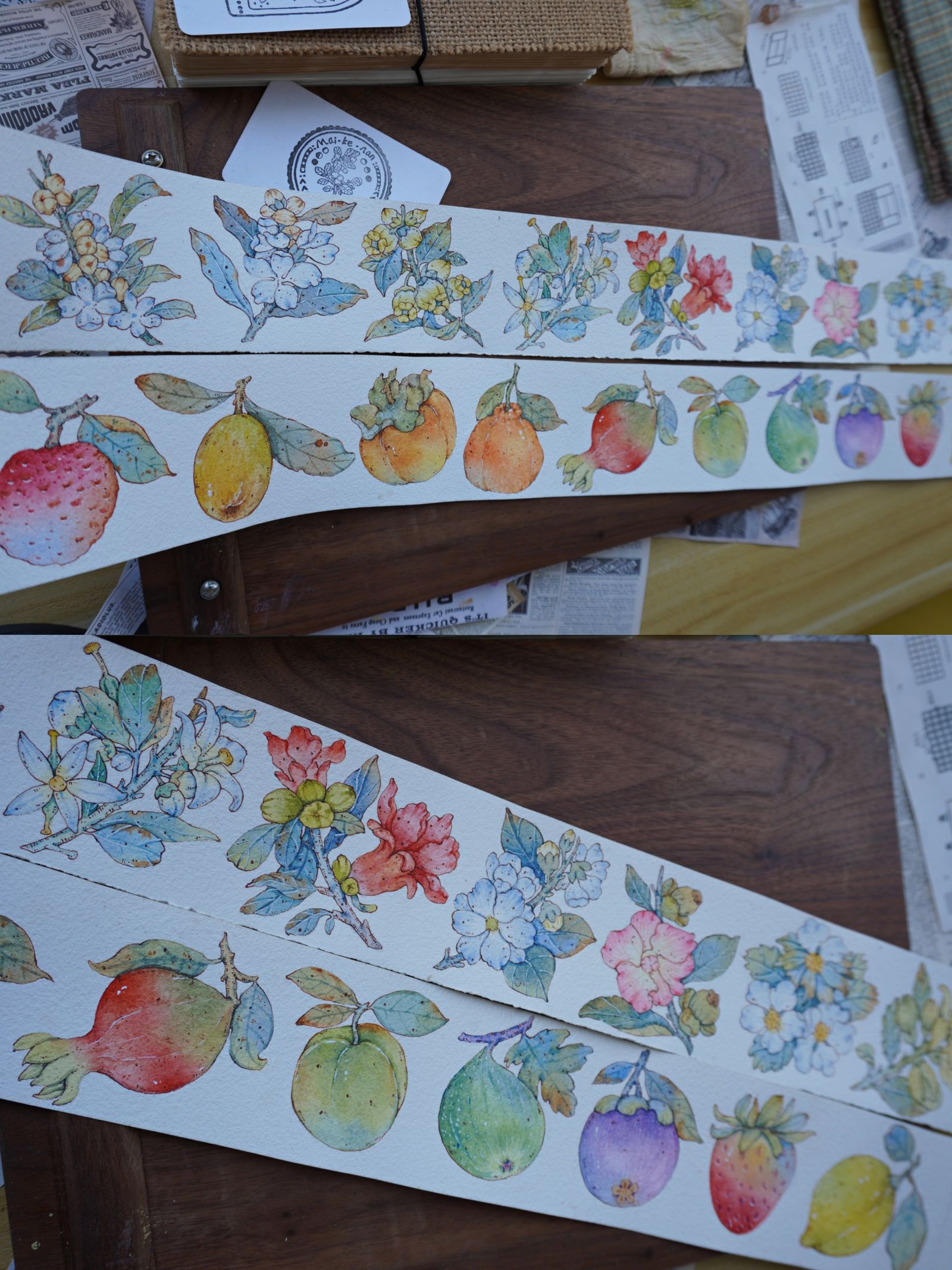 钢笔淡彩——各种花枝+各种果子插画图片壁纸