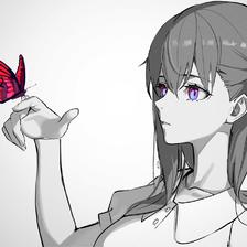 Lost butterfly插画图片壁纸