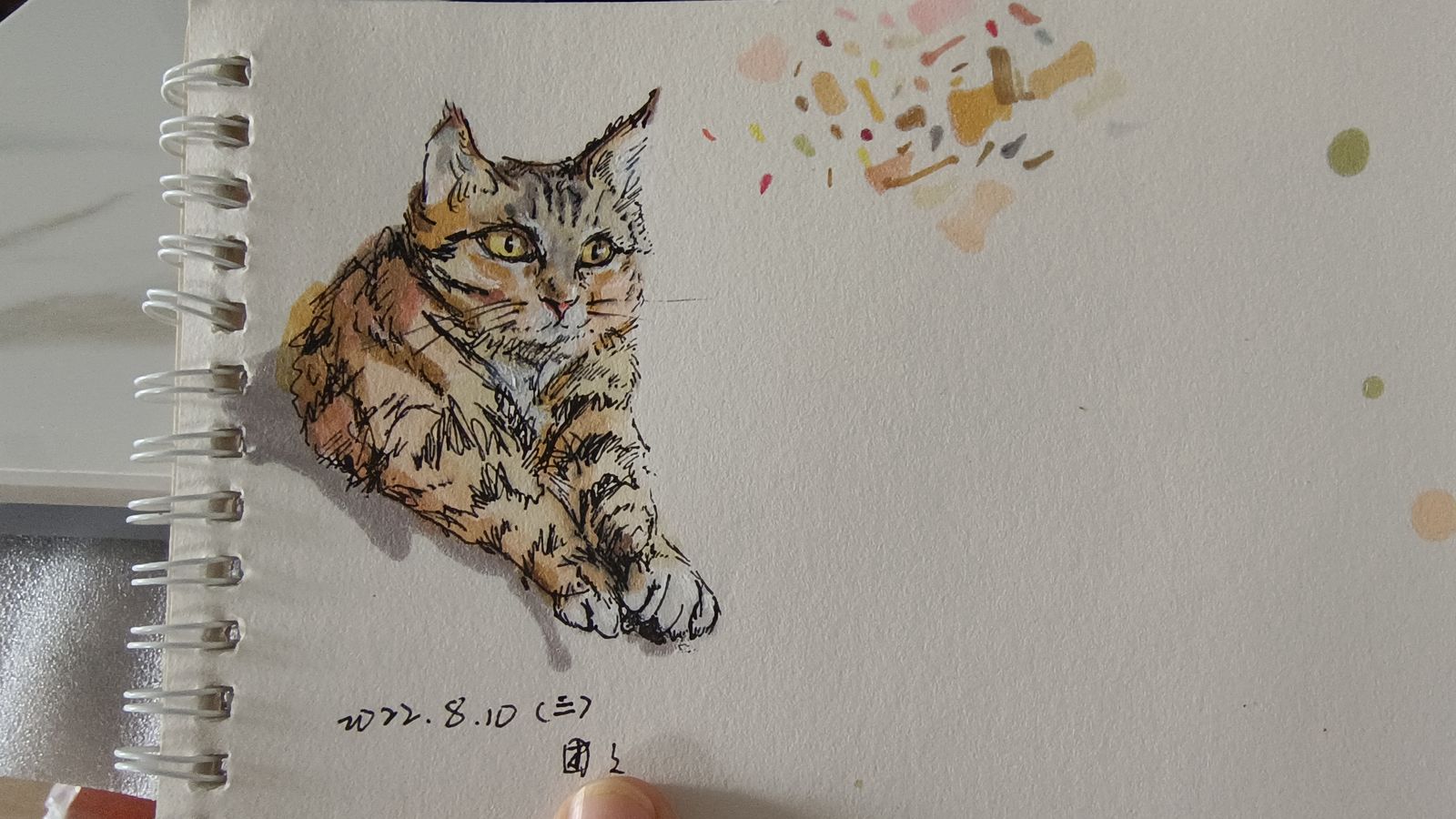 手绘猫咪插画图片壁纸