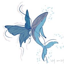 亲吻鲸的蝴蝶插画图片壁纸