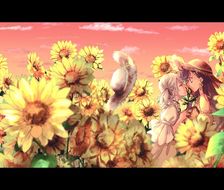 夏天、向日葵和你。