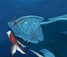尾巴的形状-巨牙鲨鲤鱼王
