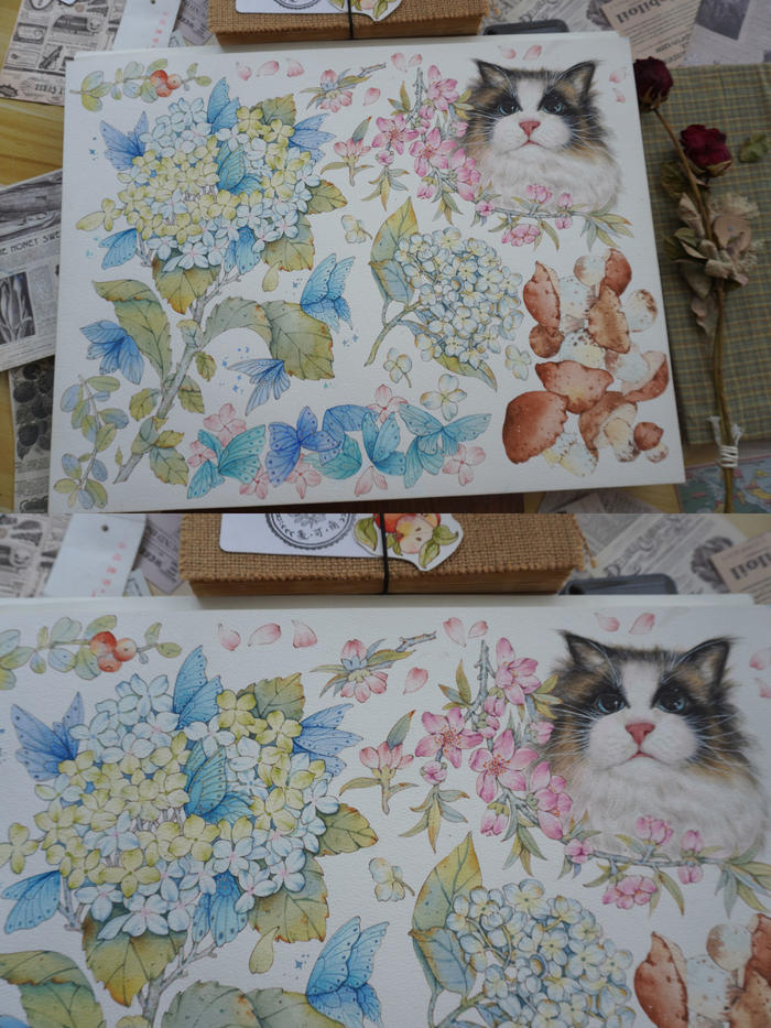 水彩——猫咪+绣球+蘑菇+蝴蝶插画图片壁纸