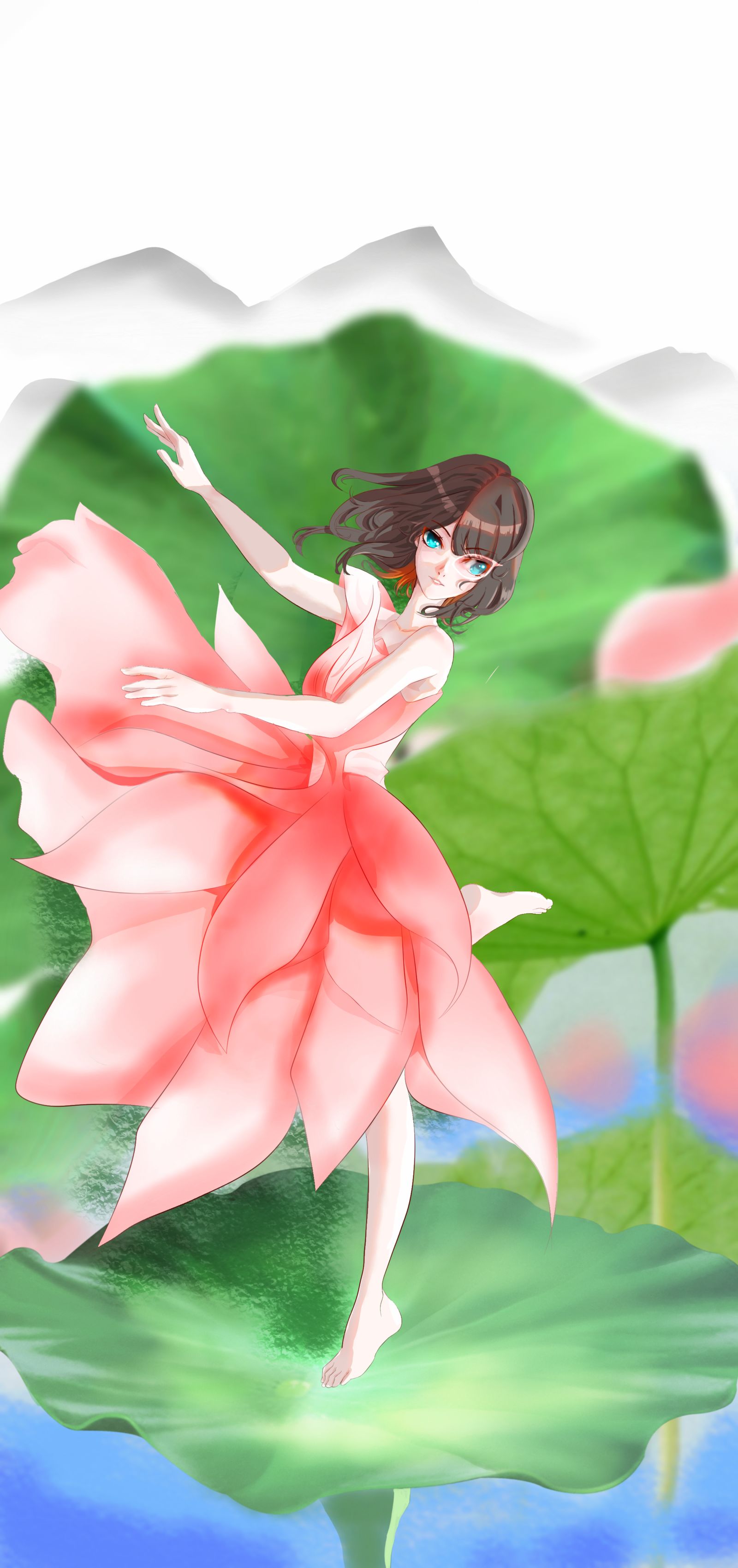 荷花