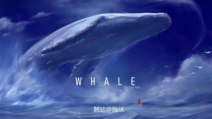 【烛珖】鲸插画图片壁纸