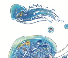 水母-商业插画水母