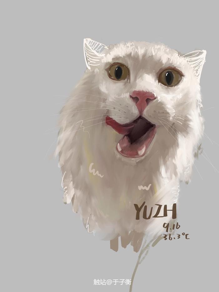 厚涂小猫插画图片壁纸