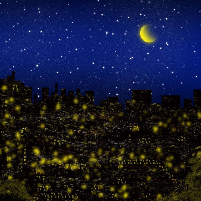 月夜之光插画图片壁纸