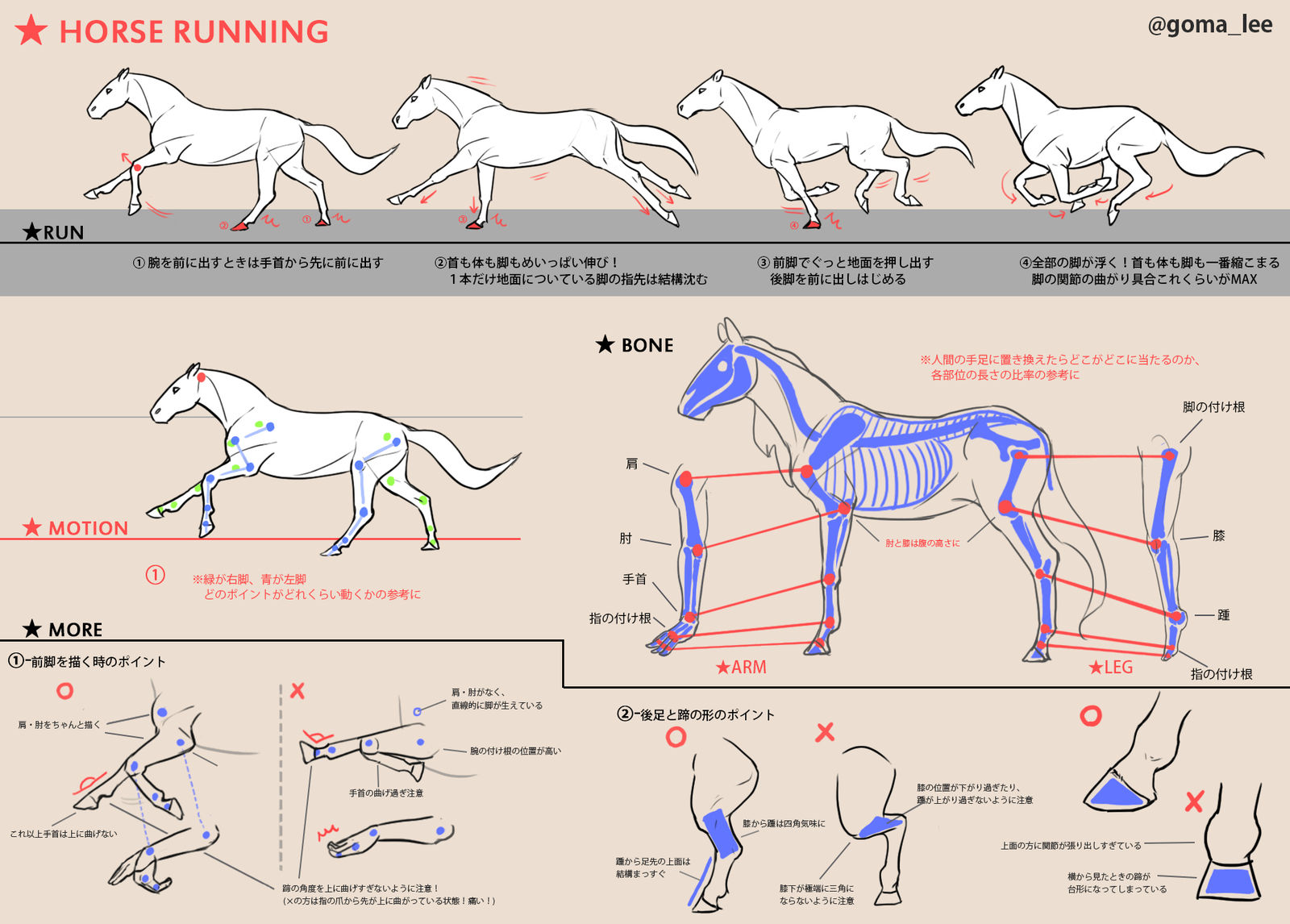 马的跑法和脚的描绘方法备忘录
