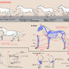 马的跑法和脚的描绘方法备忘录