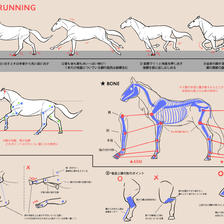 马的跑法和脚的描绘方法备忘录头像同人高清图