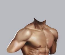 新鲜的肉体-肌肉男肌肉结构